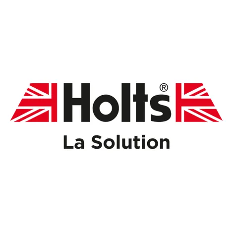 Logo Holts